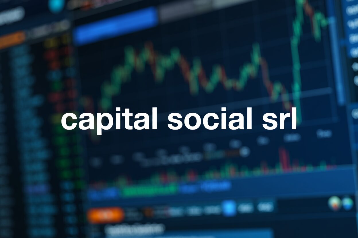 capital social srl